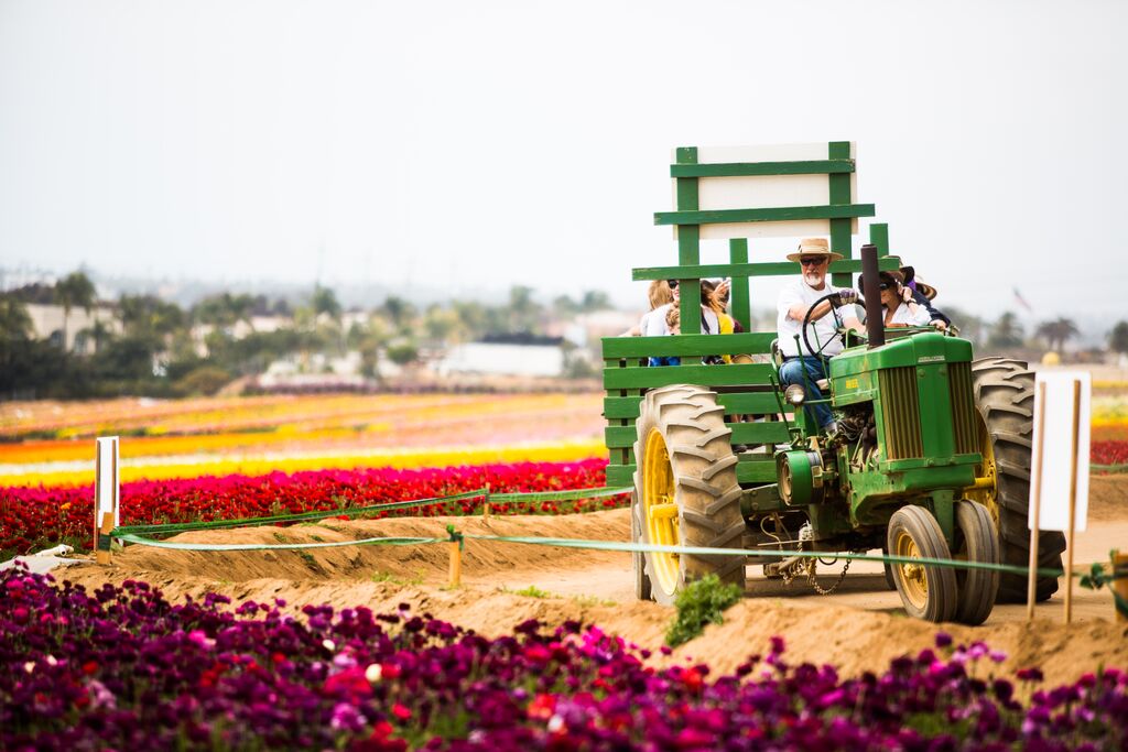 Carlsbad's Golf Calling - Craving California Cool