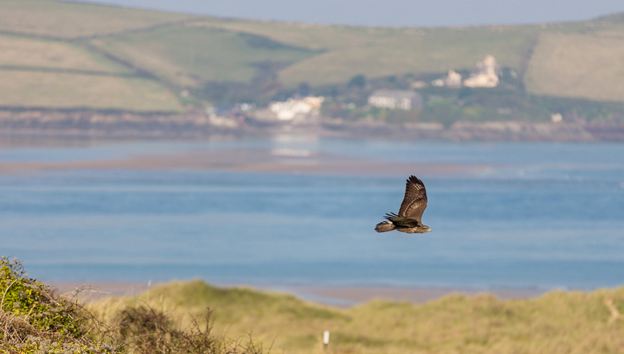 St Enodoc embarks on ecological management plan