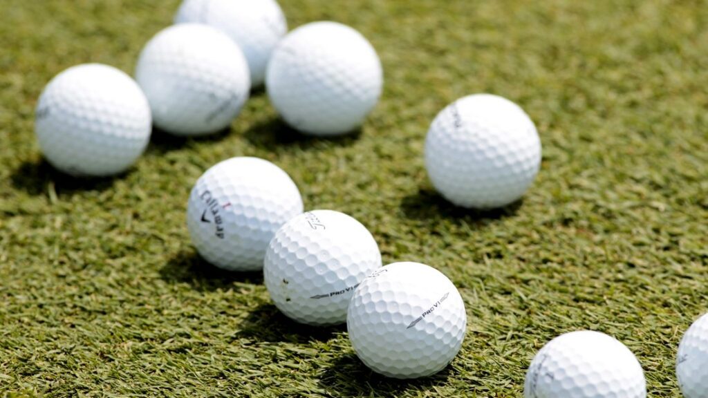 FedEx Cup Standings 46/2020 - PGA Tour