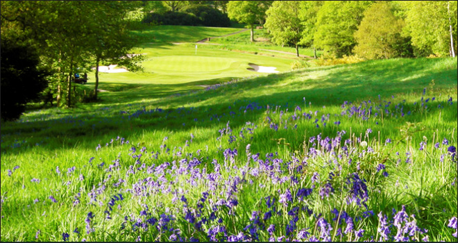 Coombe Hill Golf Club