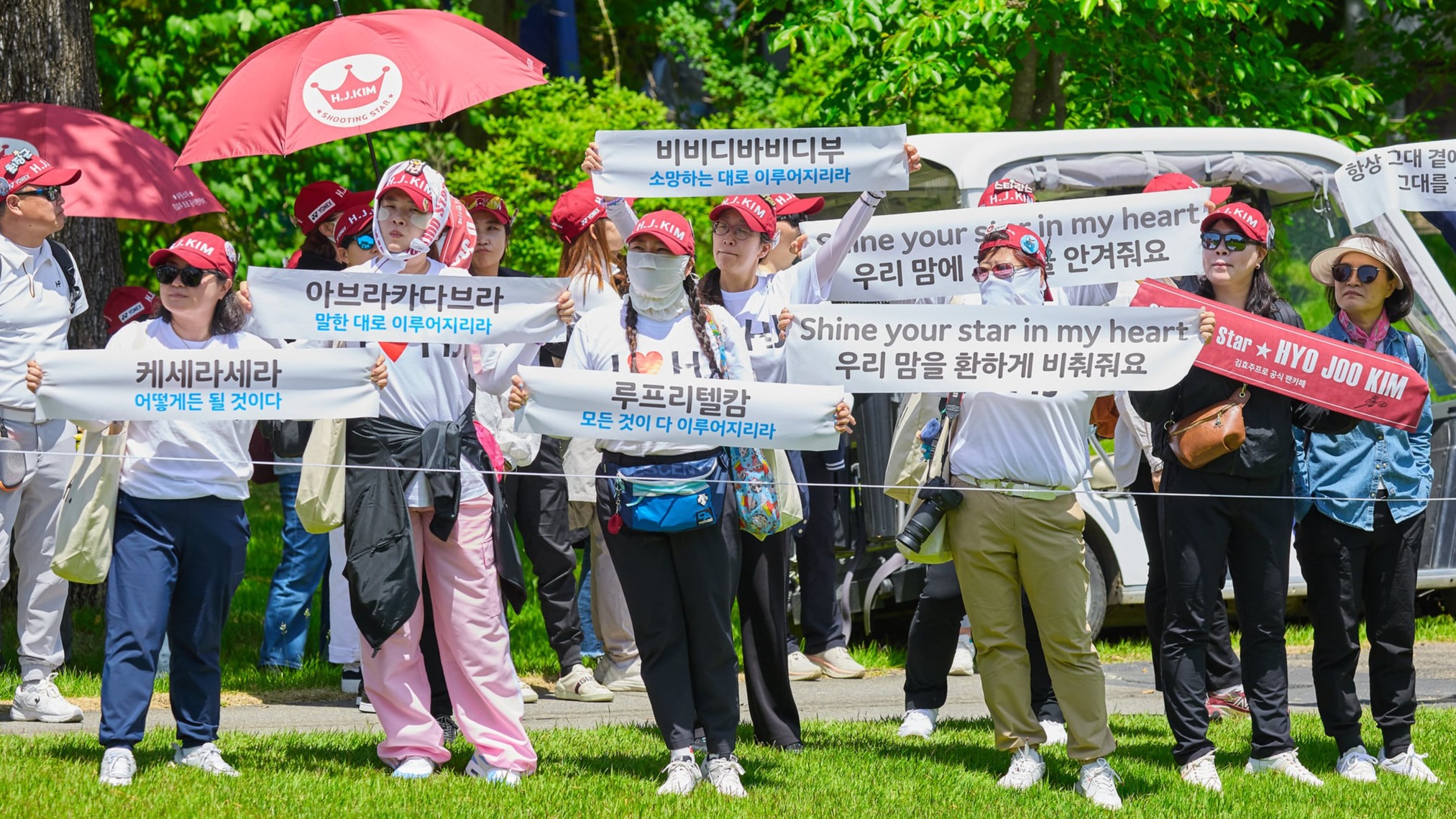 Hyo-Joo Kim's devoted fan base, the shooting stars