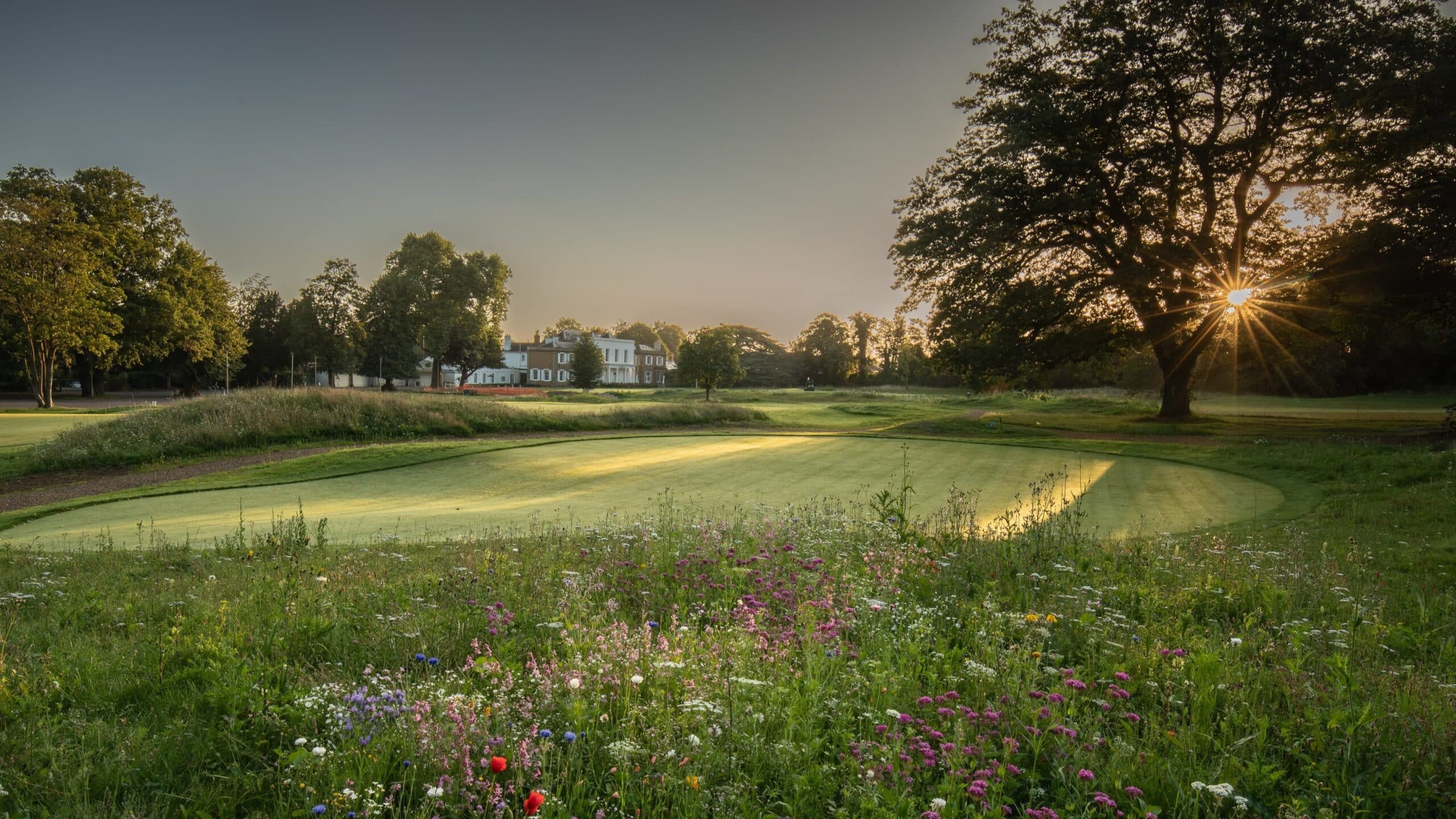 Effingham Golf Club New Putting Green and flowers