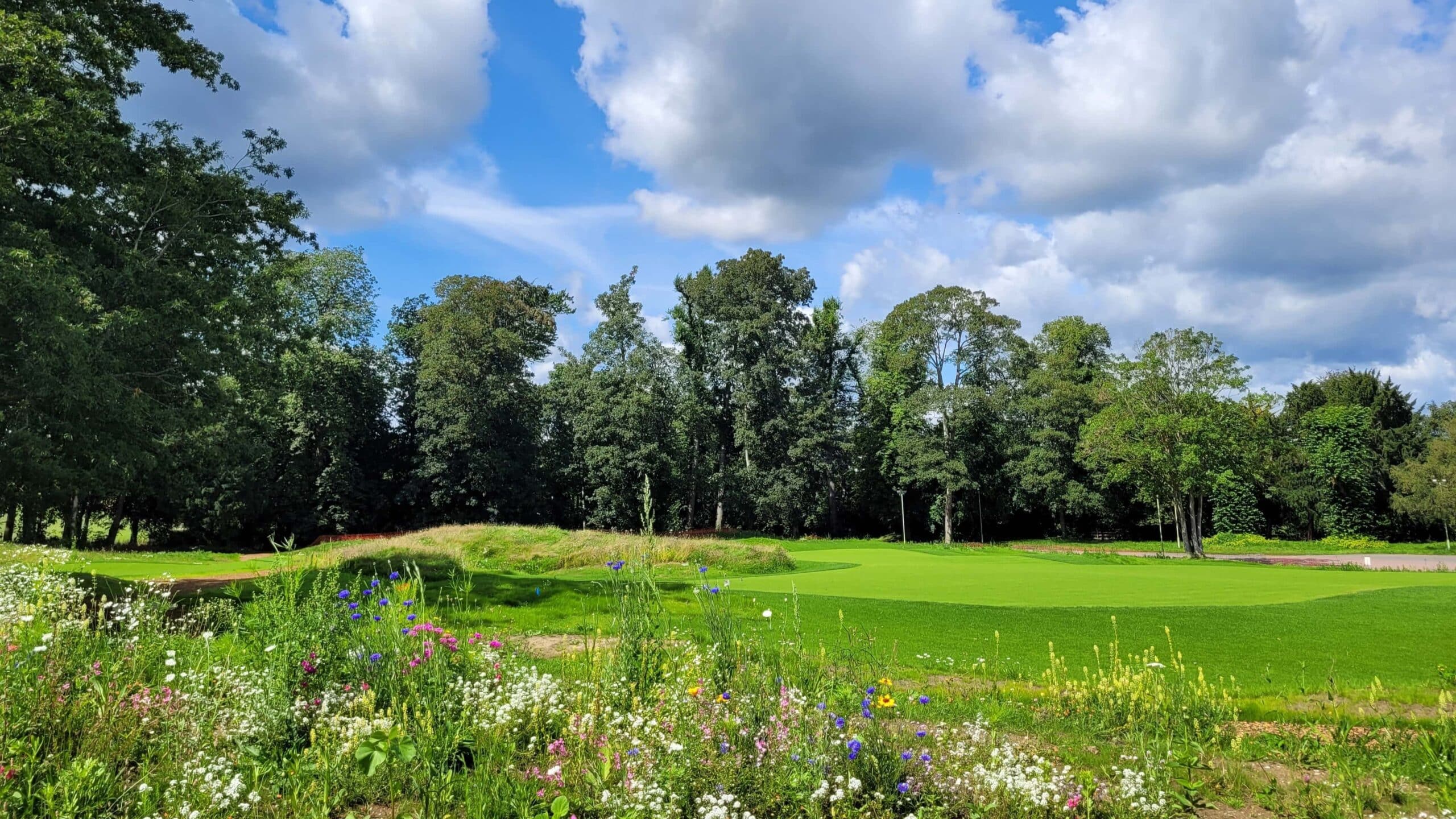 Effingham Golf Club - The facility underwent a year-long growing-in period in order for the ground to mature.